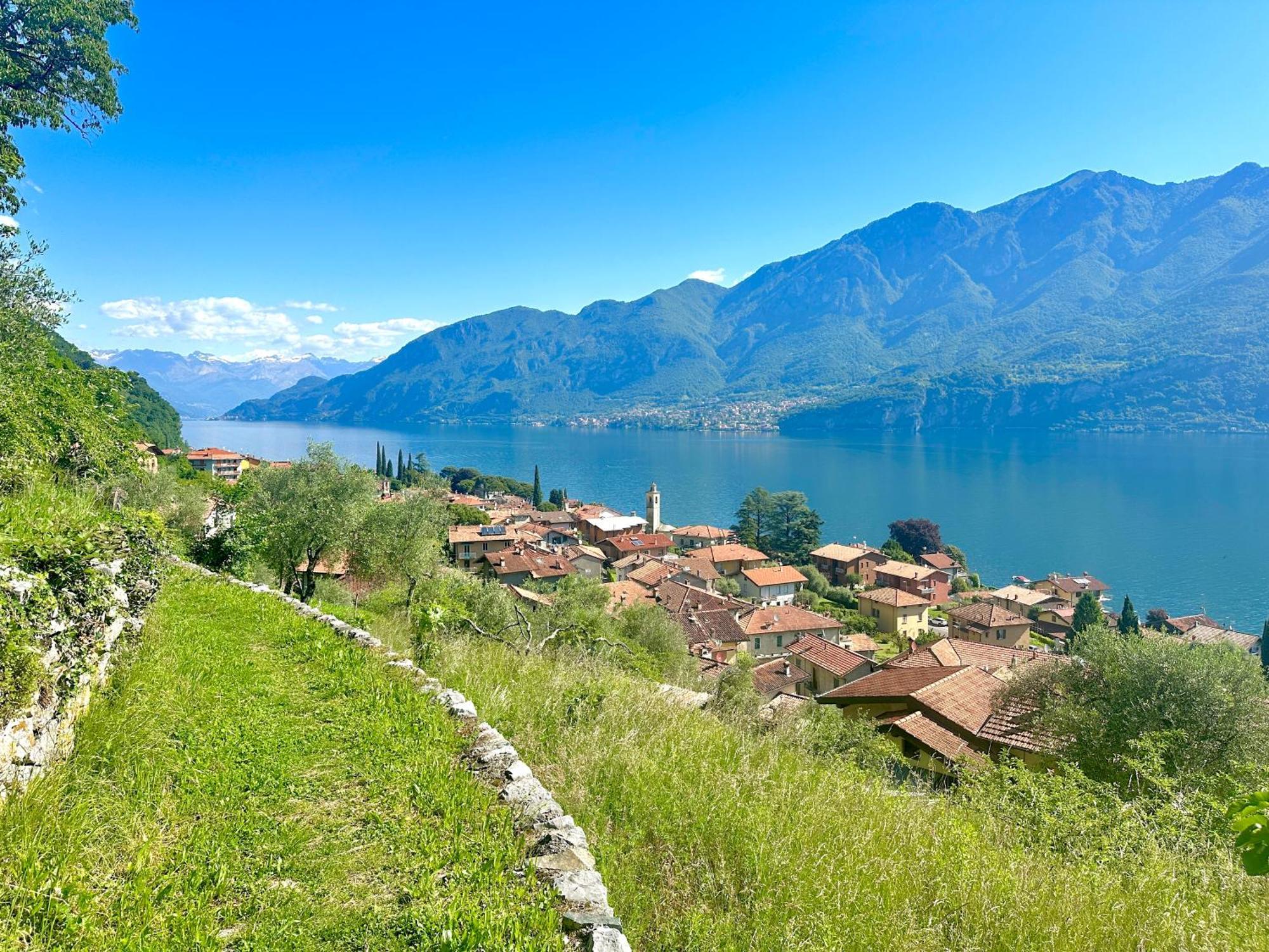 Lake Como View Apartment Oliveto Lario Dış mekan fotoğraf